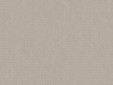 BN Wallcoverings Texture Stories 49100 - champagne vinyl Behang