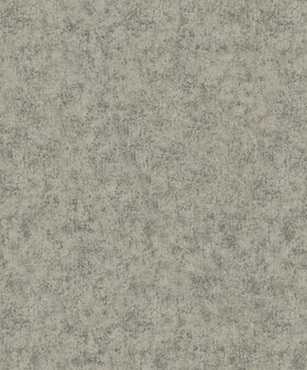 Noordwand Assorti 2024 31758 Grijs - Metallic Behang