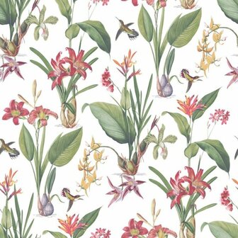 Noordwand Secret Garden G78505 Groen - Rood - Multi Behang