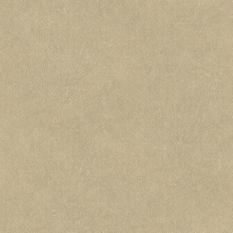 HookedOnWalls TAHITI LEATHER PLAIN TA25021 Behang