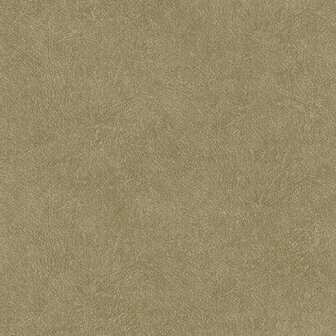 HookedOnWalls TAHITI LEATHER PLAIN TA25022 Behang