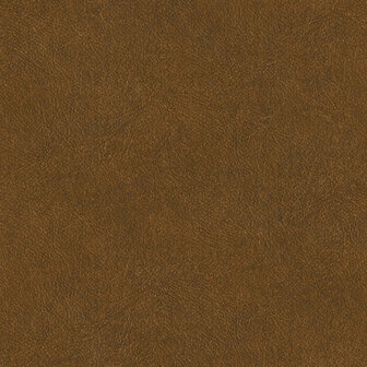 HookedOnWalls TAHITI LEATHER PLAIN TA25026 Behang