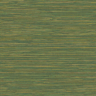 HookedOnWalls TAHITI GRASSCLOTH TA25045 Behang