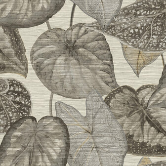 HookedOnWalls TAHITI TROPICAL LEAVES TA25050 Behang