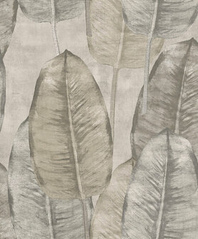 HookedOnWalls TAHITI RUBBERTREE TA25080 Behang