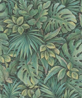 Noordwand Botanica 33304 Groen Behang