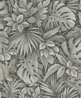 Noordwand Botanica 33305 Zwart - Bruin - Grijs Behang