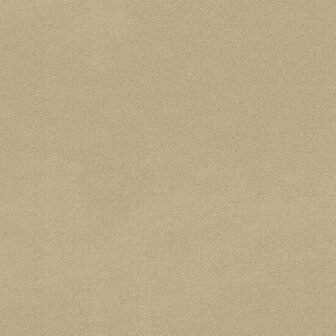 Rasch Salsa Collectie 806892 Behang