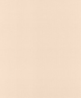 Rasch Salsa 806830 Behang