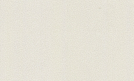 Dutch First Class Roberto Cavalli 8 19016 Behang