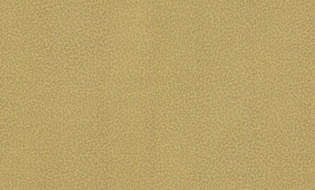 Dutch First Class Roberto Cavalli 8 19017 Behang