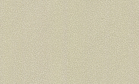 Dutch First Class Roberto Cavalli 8 19021 Behang