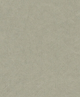 Rasch Concrete 520279 Behang