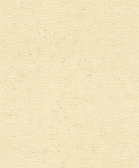 Rasch Concrete 520842 Behang
