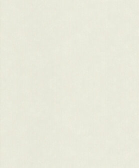 Rasch Concrete 521443 Behang
