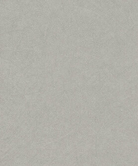 Rasch Concrete 520255 Behang