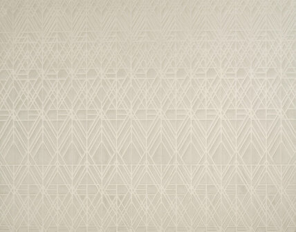 Arte Velveteen VECTOR 87023 Behang