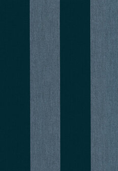 Arte Les Rayures STRIPE VELVET AND LINE 18115 Behang