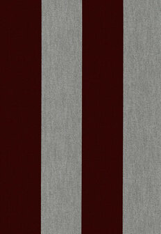 Arte Les Rayures STRIPE VELVET AND LINE 18116 Behang