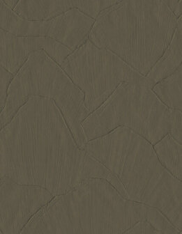 Arte Sculptura SHARDS 42503 Behang