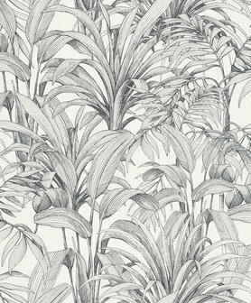 Dutch Wallcoverings Asperia A51401 wit - zwart Behang