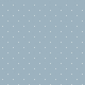 Dutch Wallcoverings Little Kids JR1104 blauwgrijs - wit Behang