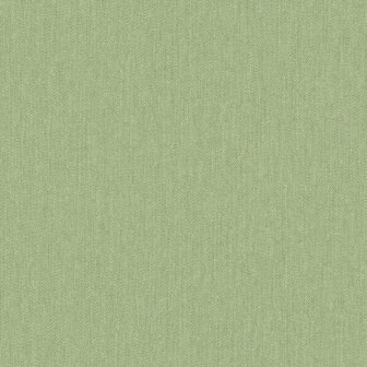 Dutch Wallcoverings Little Kids JR1212 groen Behang