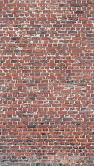 Dutch Wallcoverings One Roll One Motif A39201 Red Brick Behang