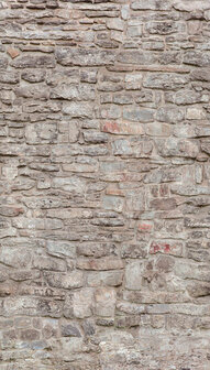 Dutch Wallcoverings One Roll One Motif A51701 Castle Wall beige Behang