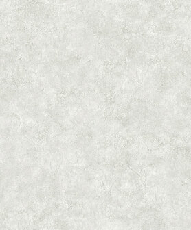 Dutch Wallcoverings Structures M550-00 grijs Behang