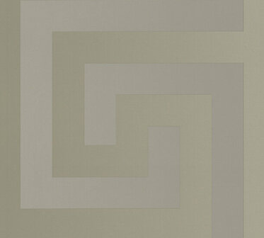 Versace Home 5 38609-2 Zilver - Zilver - Grijs Behang