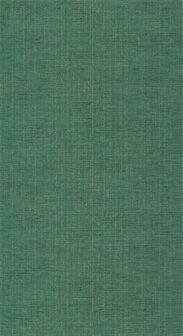 Casadeco Tissage TISA85847401 - Groen Behang