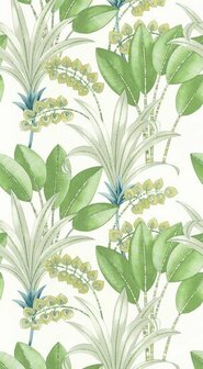 Casadeco Nicaragua NICA86417353 - Groen / Wit Behang