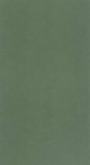 Caselio Around ARN64524044 - Groen Behang