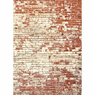 Caselio Young and Free YNF103438203 - Rood Behang