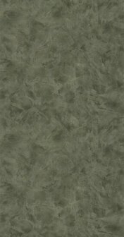 Caselio Patine 2 PAE103687742 - Groen Behang