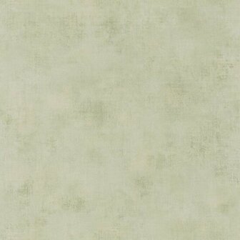 Caselio Telas 2 TEL102067119 - Groen Behang