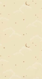 Caselio Autour Du Monde ADM103481023 - Beige Behang
