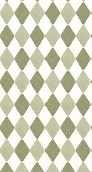Caselio Autour Du Monde ADM103577307 - Groen / Wit Behang