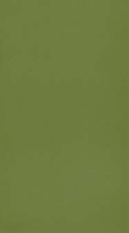 Caselio Autour Du Monde ADM69867313 - Groen Behang