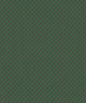 BN Wallcoverings Inspire 220965 - Groen Behang