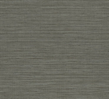 Arte Textura LIGNES 40512A Behang
