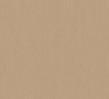 HookedOnWalls Terra Cotta 42134 Behang