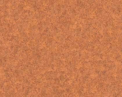 AS Creation Beton Behang 36207-9 / 362079 - Oranje Behang