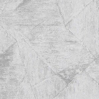 Dutch Wall Decor Opus EV101810 Grijs Behang