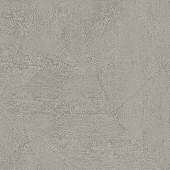 Dutch Wall Decor Opus EV101837 Taupe Behang
