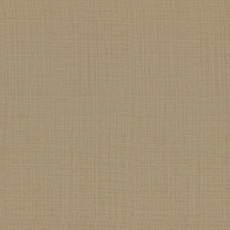 Dutch Wall Decor Philipp Plein Z80047 Beige Behang