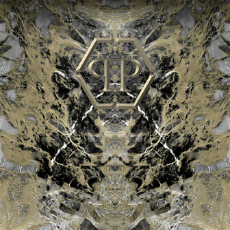 Dutch Wall Decor Philipp Plein Z80067 Goud / Zwart Behang