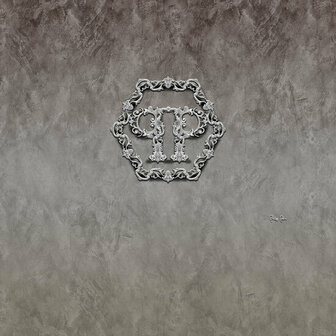 Dutch Wall Decor Philipp Plein Z80073 Zwart / Grijs Behang