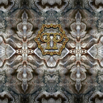 Dutch Wall Decor Philipp Plein Z80077 Goud / Grijs Behang